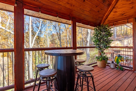 Pub Table on Screened In Porch at Angler's Ridge