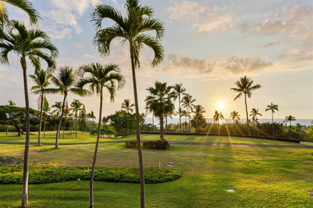 Palm trees glow under a golden sunrise.