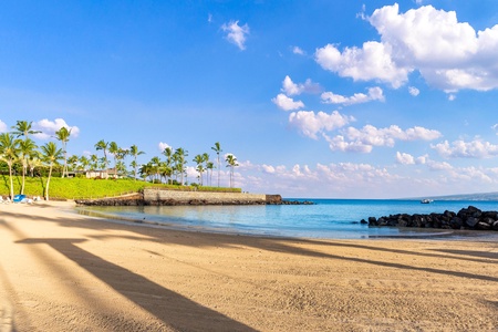 Pristine golden beach stretches along turquoise waters, with swaying palm trees and tropical landscaping creating an idyllic coastal paradise setting.