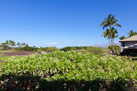 Fairways at Mauna Lani