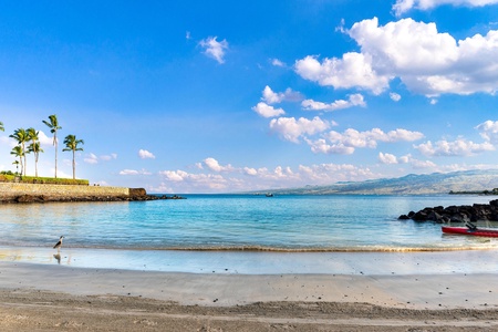 Pristine beach with crystal-clear waters, swaying palms, and dramatic mountain backdrop creating an idyllic tropical setting.