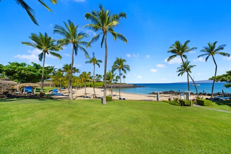 Stylish green lawn with swaying palm trees by the ocean.
