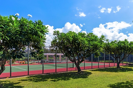 Tennis court surrounded by lush tropical landscaping and manicured lawn area beneath bright blue skies.