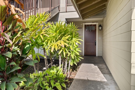 Modern entrance with tropical landscaping and clean architectural lines creates a welcoming first impression.
