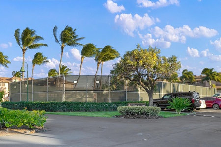 Tennis courts nestled among swaying palms in a tropical setting, with convenient parking and beautifully landscaped grounds creating an active outdoor retreat.