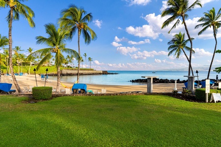 Tropical beachfront paradise with swaying palms, pristine sand, and crystal-clear waters stretching to the horizon.