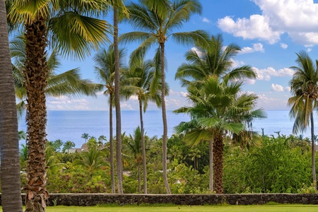 Palm trees overlooking greenery and sea.