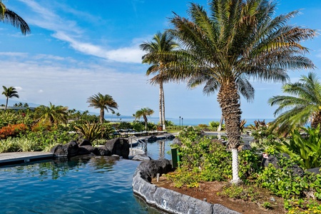 Serene lagoon pool lined with palms and tropical greenery.