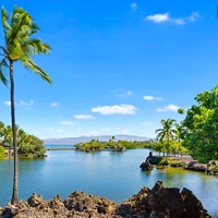Pristine tropical lagoon with crystal waters and swaying palms creates the perfect island paradise backdrop for your getaway.