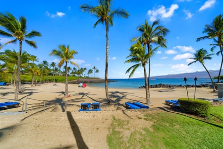Sandy beachfront with blue lounge chairs under palm trees.