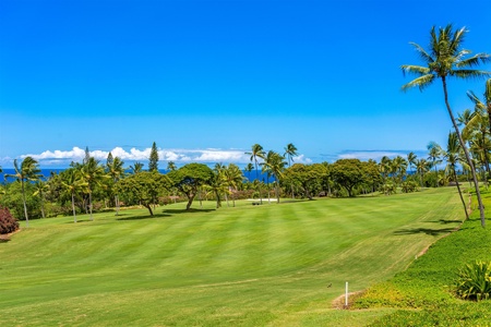 Scenic golf course lined with palms.