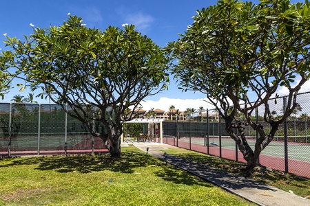 Pathway leading to tennis courts.