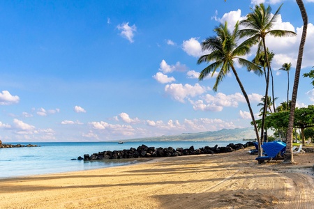 A pristine tropical beach with golden sand, swaying palm trees, and crystal-clear waters framed by volcanic rock formations.