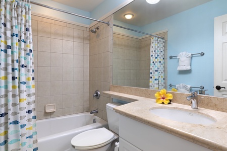 Guest bathroom with shower/tub combo