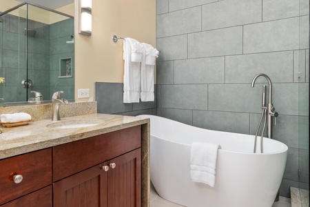 Remodeled primary bathroom with double vanity, walk-in shower, and soaking tub