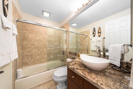 Guest bathroom with shower / tub combo