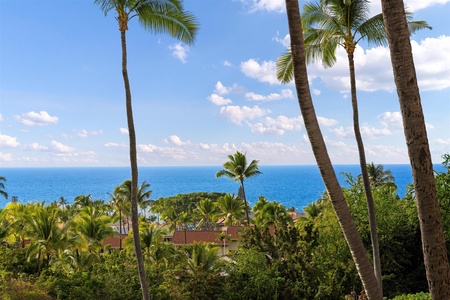 Ocean horizon framed by beautiful greenery.