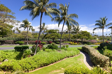 Landscaped garden path lined with beautiful greenery and palm trees.