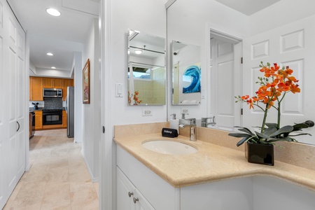 Guest bathroom, plenty of space and light.