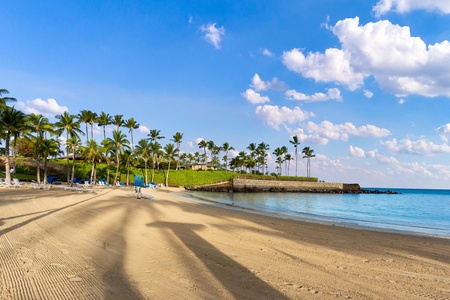 Pristine tropical beach with swaying palms, turquoise waters, and golden sand creates the perfect Caribbean escape.