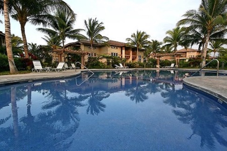 Tranquil resort pool surrounded by landscaping and swaying palm trees.