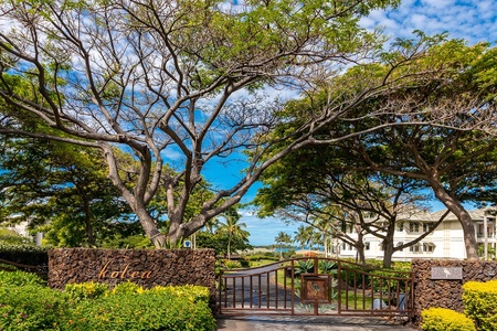 Gated entrance framed by mature trees and tropical landscaping for privacy.