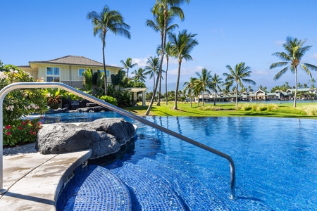 Resort pool with infinity edge and palm tree backdrop.
