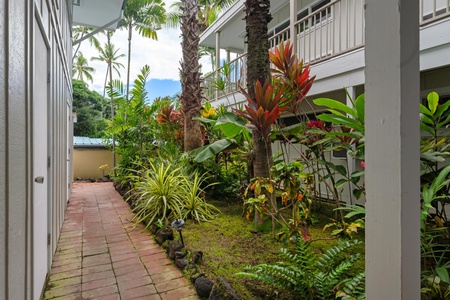 Tropical garden walkway