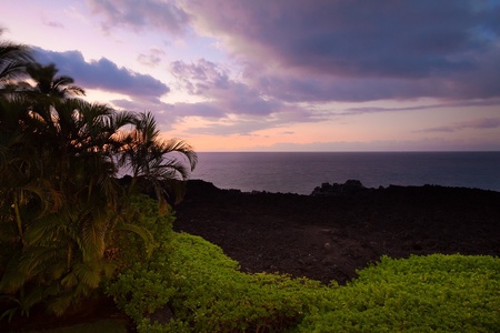 Serene sunset casting golden hues over greenery and lava rock.