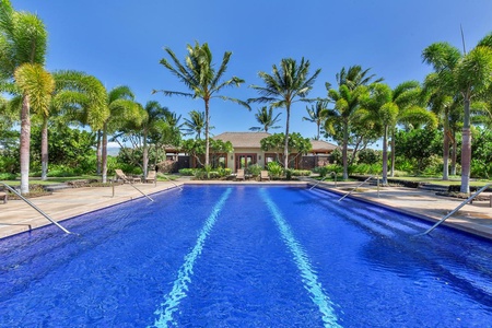 Sparkling lap pool surrounded by tall palm trees and greenery.