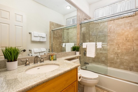 Full bath with granite vanity, glass shower doors, and tiled tub combo.
