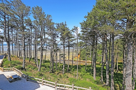 The Coastal Living House