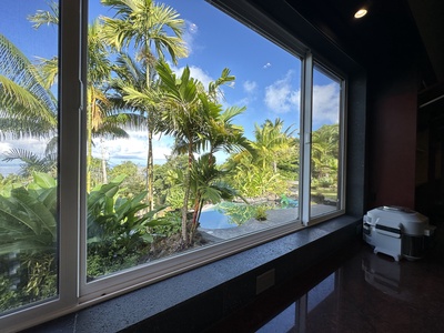 View from kitchen