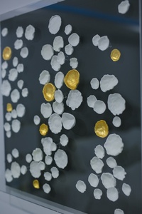 51 DETAIL FULL_