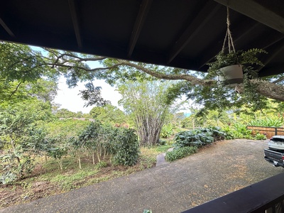 patio view