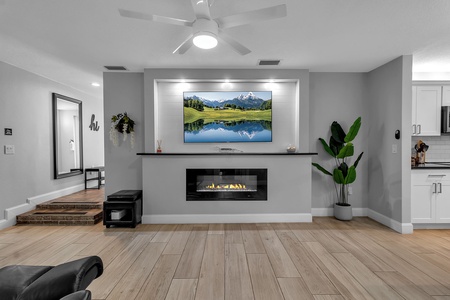 Shared Living Space with TV & Fireplace