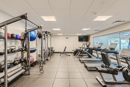 A modern gym with free weights, kettlebells, exercise balls, a power rack, treadmills, ellipticals, and a rowing machine, set in a well-lit room with large windows.