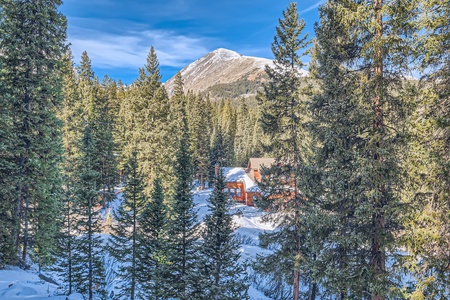 Nestled in the trees, this retreat offers privacy and seclusion