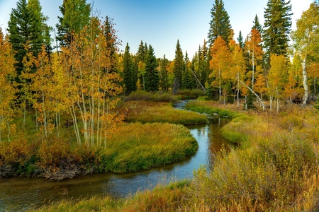 Duck Creek