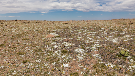 Brian Head Landscape