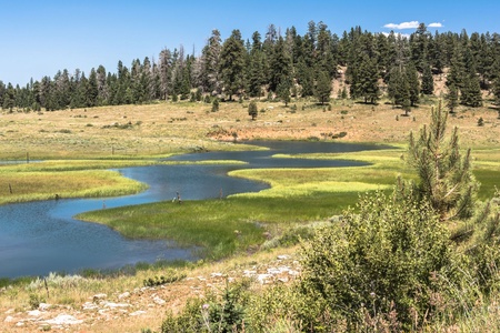 Duck Creek