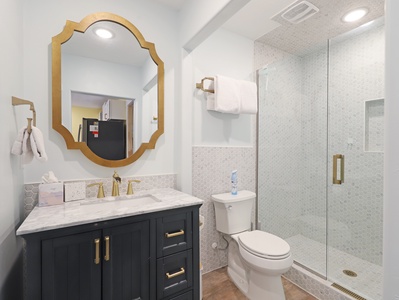 View of the newly remodeled sleek  and stylish bathroom