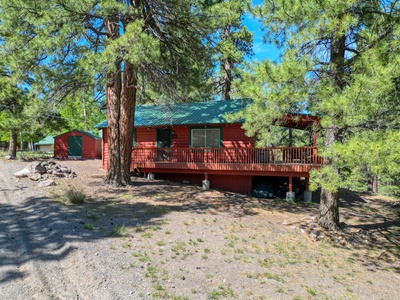 Exterior view of The Reel Retreat Cabin