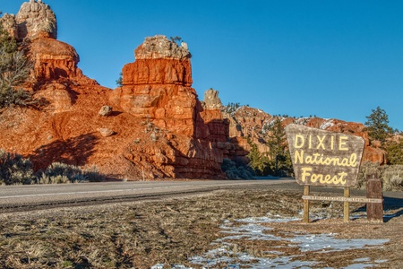 Dixie National Forest 