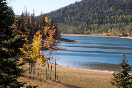 Duck Creek