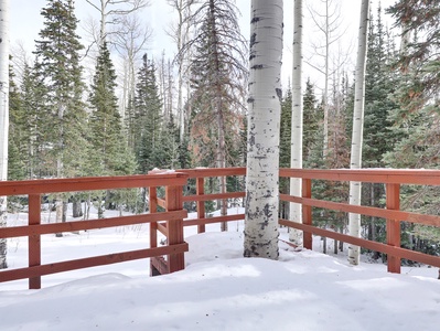 View to the trees from the back deck