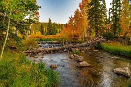 Duck Creek in the Fall