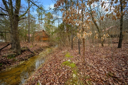 There's a seasonal creek behind the property! Levels depend on rainfall.