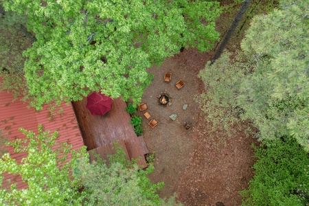 Aerial view of Sleepy Beaver showing the woods around the back of the cabin.