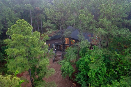 Aerial view of the Bronze Bison cabin nestled among tall pine trees in a forest.